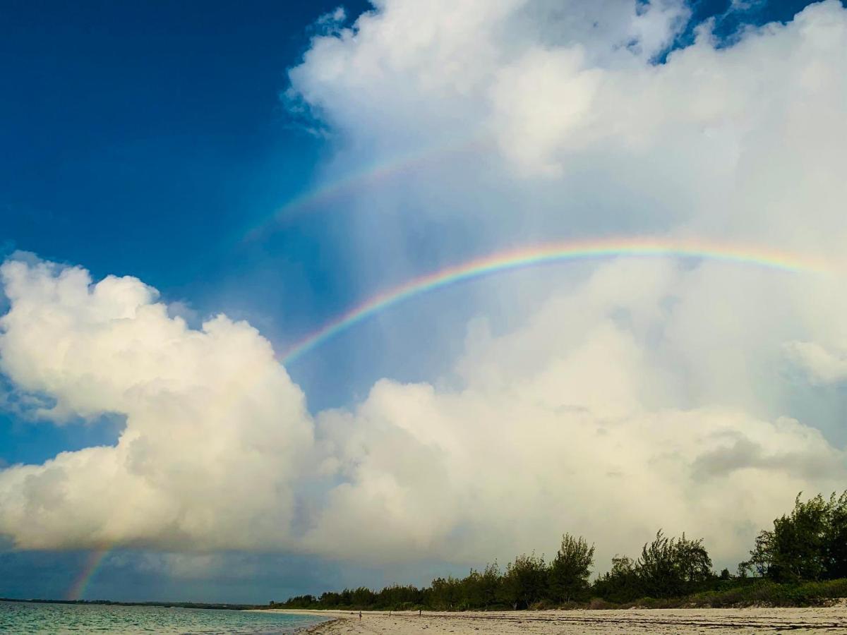 A Rocha Eco-Lodge & Conservation Centre Watamu Εξωτερικό φωτογραφία