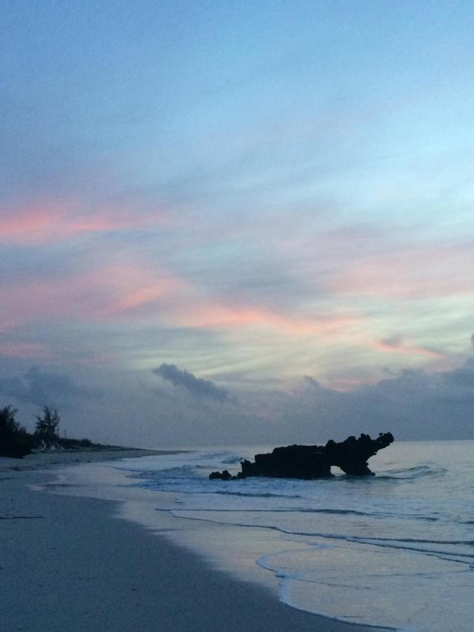 A Rocha Eco-Lodge & Conservation Centre Watamu Εξωτερικό φωτογραφία