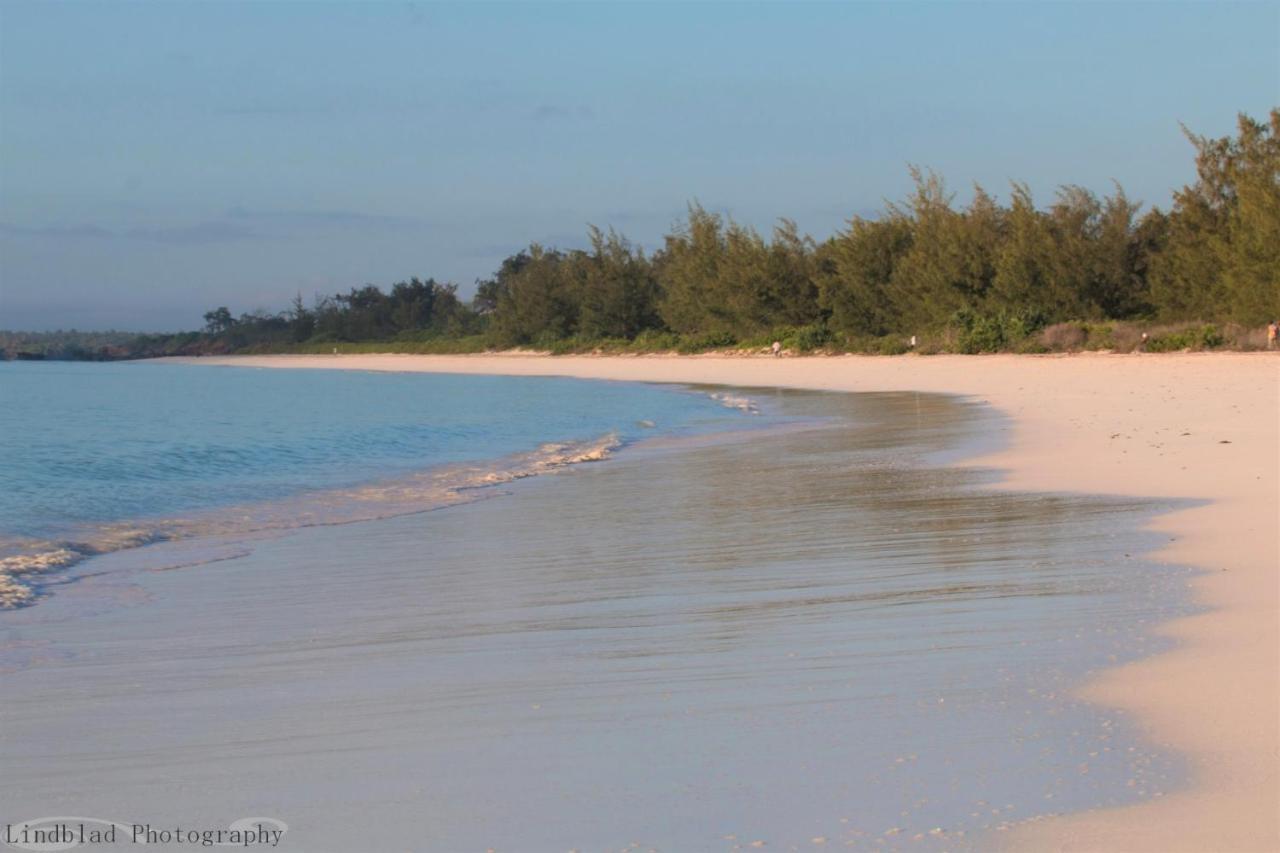 A Rocha Eco-Lodge & Conservation Centre Watamu Εξωτερικό φωτογραφία